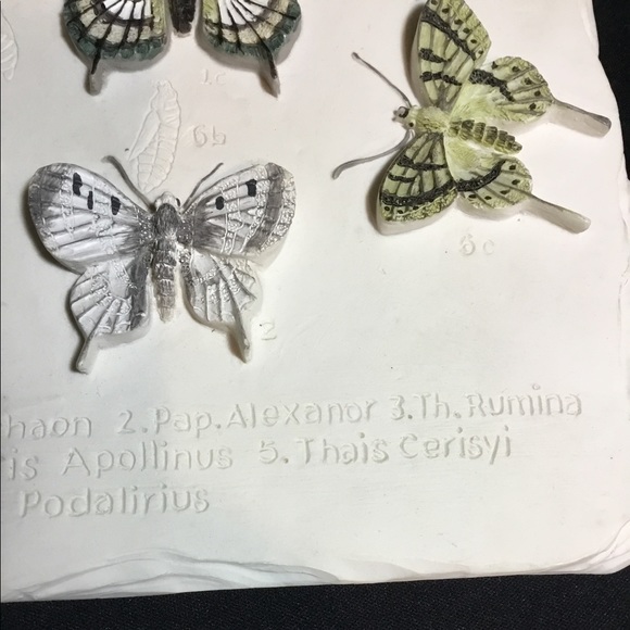 VTG Butterfly Wall Plaque - Picture 7 of 8